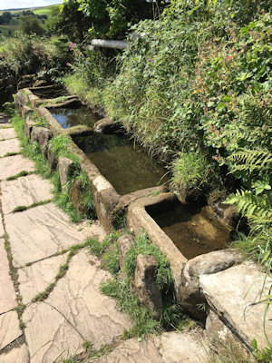 troughs